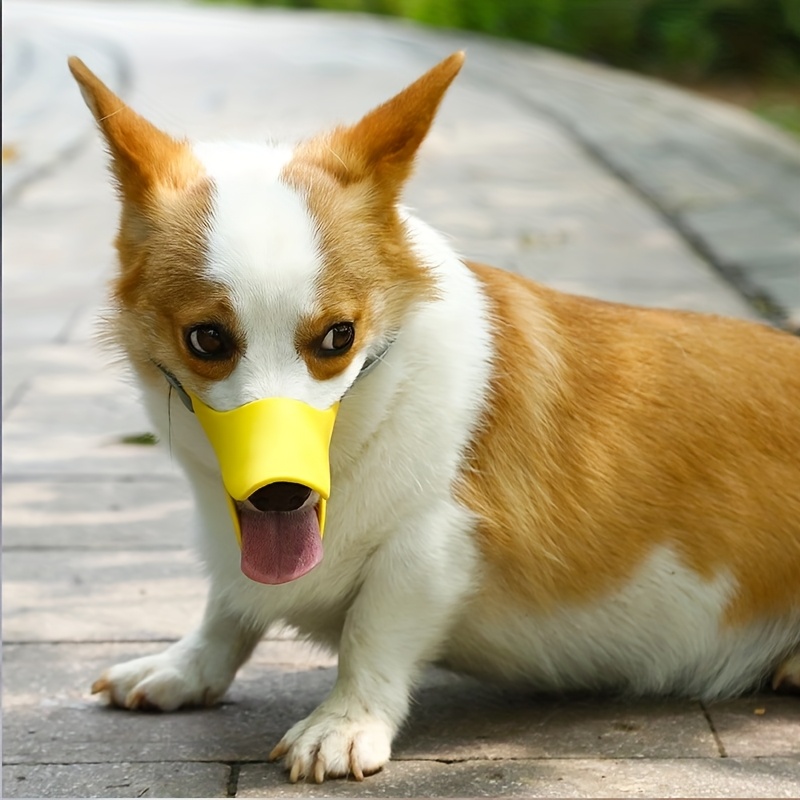 Dog Muzzle Silicone - Bozal de silicona con forma de