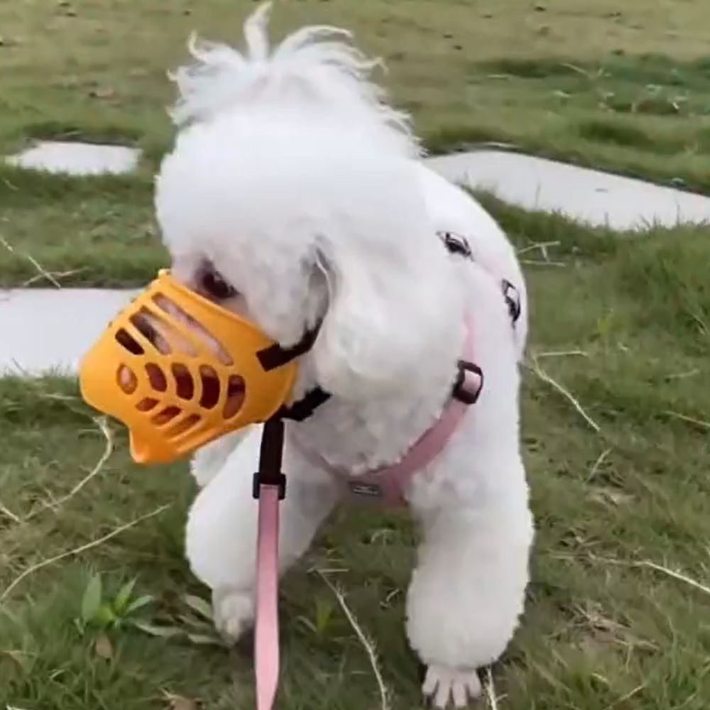 Dog Muzzle Silicone - Accesorios para Perros: Mordaza de Silicona