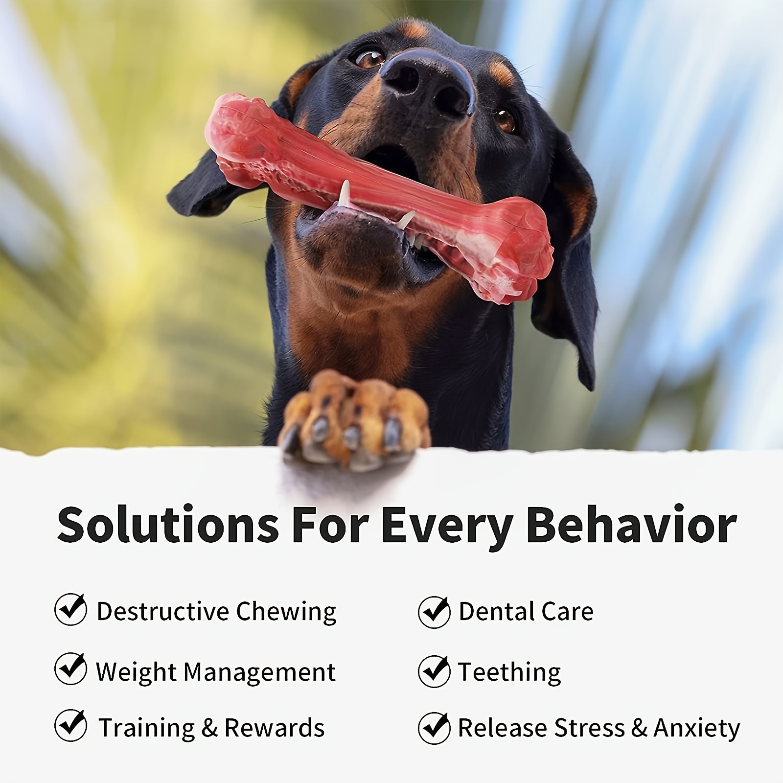 Juguete de Silicona para Perro - Dog Muzzle Silicone reseña y precio