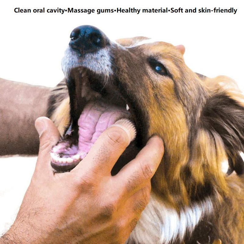 3 uds limpieza Dental limpieza - Dog Muzzle Silicone reseña y precio