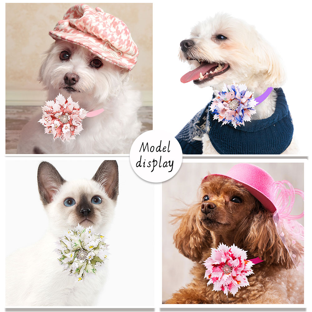 Collar de pajaritas para perro - Pet Supplies Coupon reseña y precio