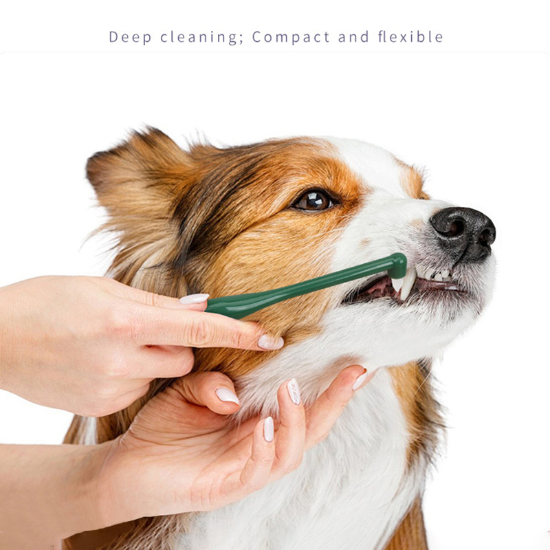 Micro cabezal para perro y gat - Pet Supplies Coupon reseña y precio
