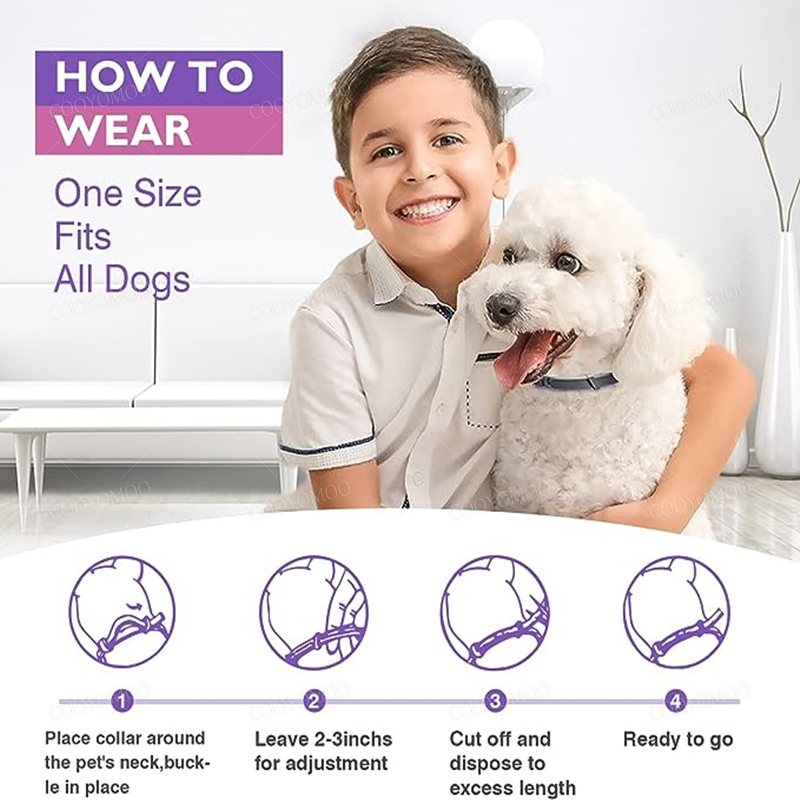 Collares de feromonas calmante - Dog Muzzle Silicone reseña y precio