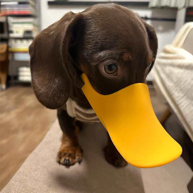Bozal de silicona con forma de - Dog Muzzle Silicone reseña y precio