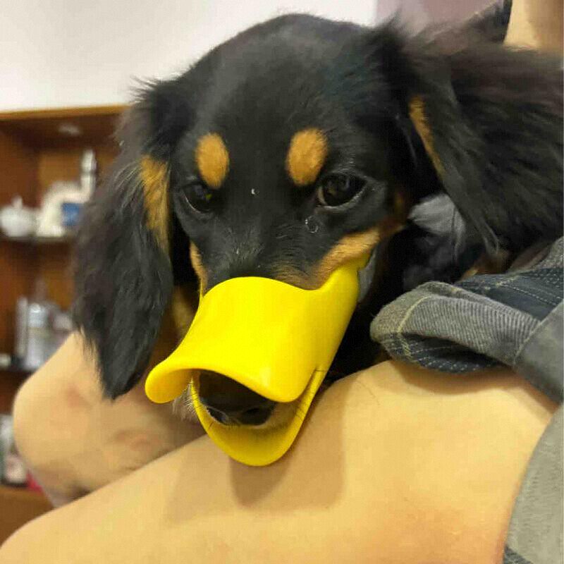 Bozal de silicona con forma de - Dog Muzzle Silicone reseña y precio