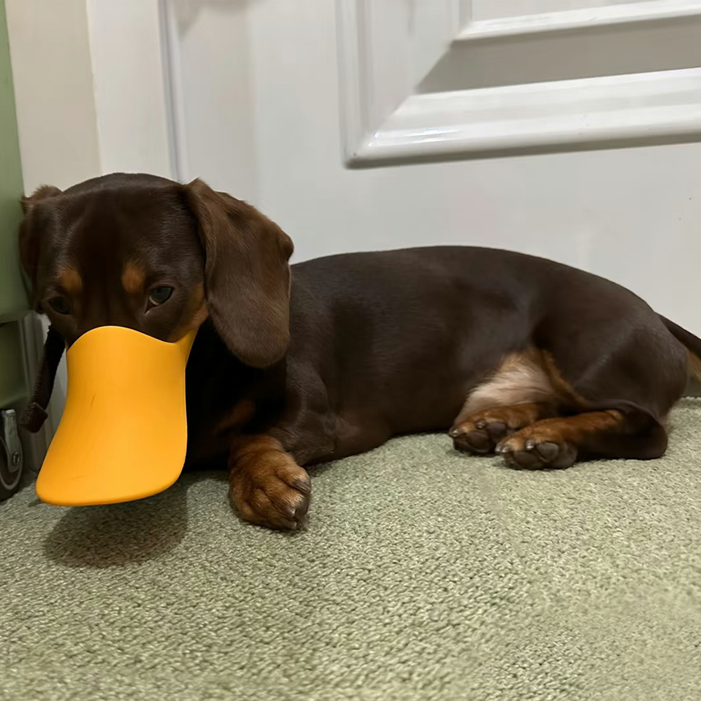 Bozal de silicona con forma de - Dog Muzzle Silicone reseña y precio