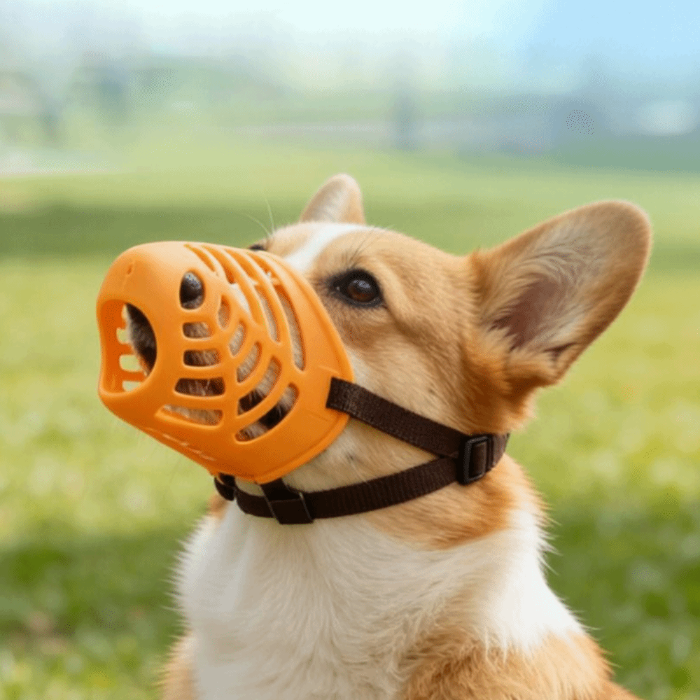 Accesorios para Perros: Mordaz - Dog Muzzle Silicone reseña y precio