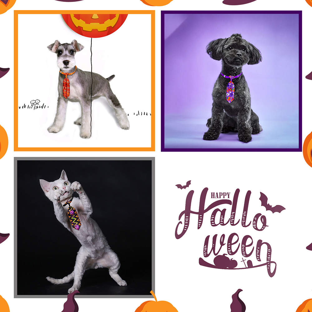 50/100 Uds. Accesorios de cuid - Pet Supplies Coupon reseña y precio